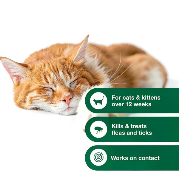 Elanco Advantage Flea Tick Shampoo for Cats Kittens-3