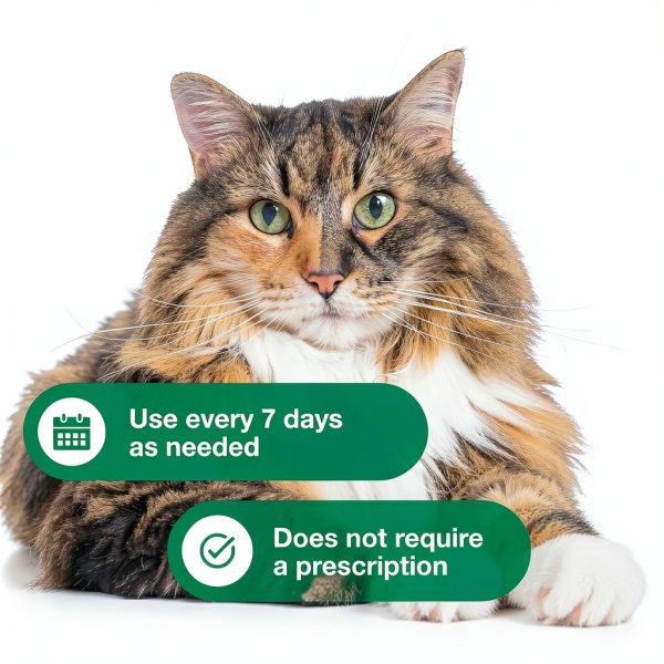 Elanco Advantage Flea Tick Shampoo for Cats Kittens-4